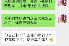 苍溪调查案例